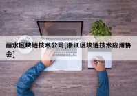 丽水区块链技术公司[浙江区块链技术应用协会]